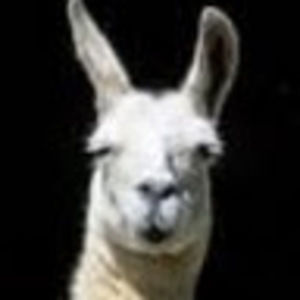 Meet your Posher, Grantley